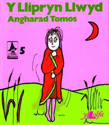 A picture of 'Y Llipryn Llwyd' 
                              by Angharad Tomos
