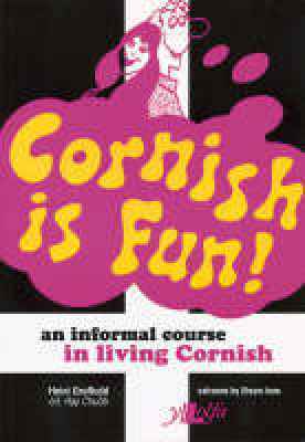 A picture of 'Cornish is Fun' 
                              by Heini Gruffudd