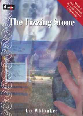 A picture of 'The Fizzing Stone' 
                              by Liz Whitaker