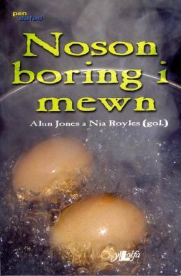 A picture of 'Noson Boring i Mewn' 
                              by Alun Jones