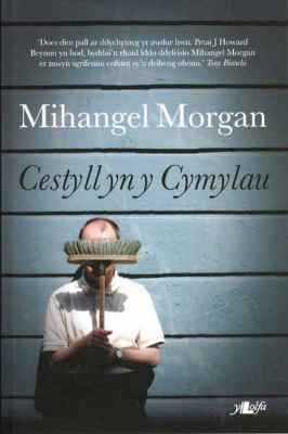 A picture of 'Cestyll yn y Cymylau' 
                              by Mihangel Morgan
