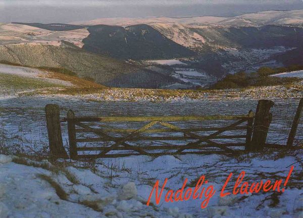 A picture of 'Cwm Rheidol, Ceredigion: Cymru'r Nadolig gan Ron Davies' 
                              by 