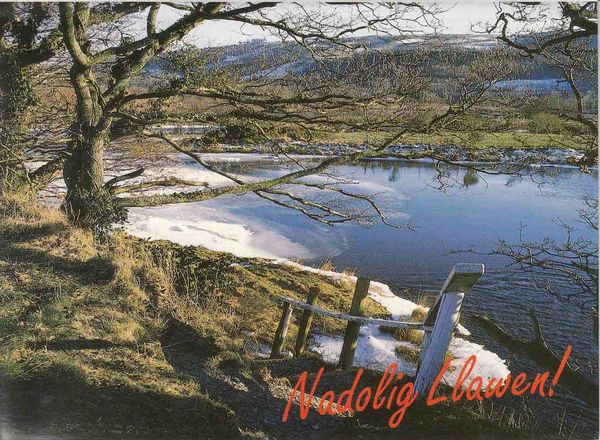 A picture of 'Afon Rheidol, Ceredigion: Cymru'r Nadolig gan Ron Davies' 
                              by 
