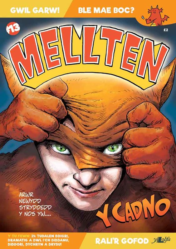 A picture of 'Mellten, Rhif 13 (Mehefin 2019)' 
                              by 