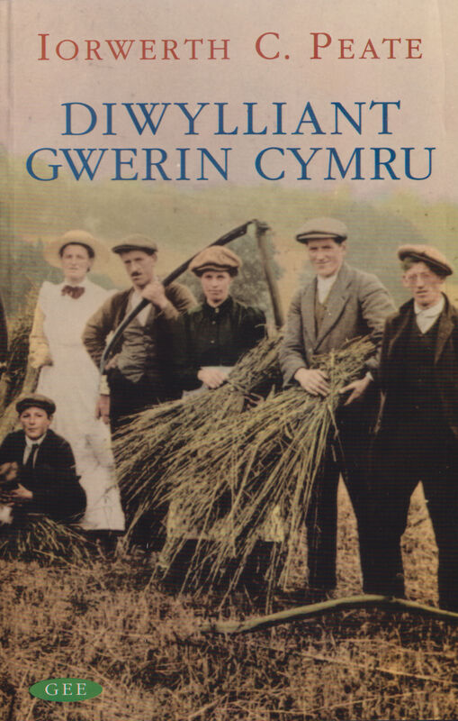 A picture of 'Diwylliant Gwerin Cymru' 
                              by Iorwerth C. Peate