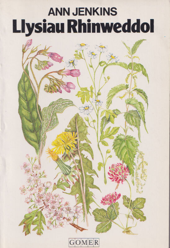A picture of 'Llysiau Rhinweddol' 
                              by Ann Jenkins