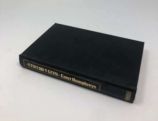 A picture of 'Etifedd y Glyn' 
                              by Emyr Humphreys