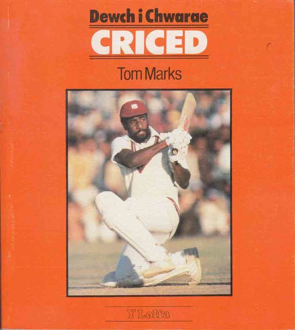 A picture of 'Dewch i Chwarae Criced' 
                              by Tom Marks