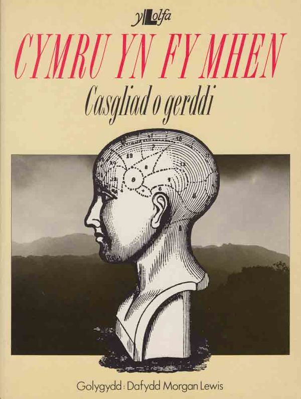 Llun o 'Cymru yn fy Mhen' 
                              gan Dafydd Morgan Lewis