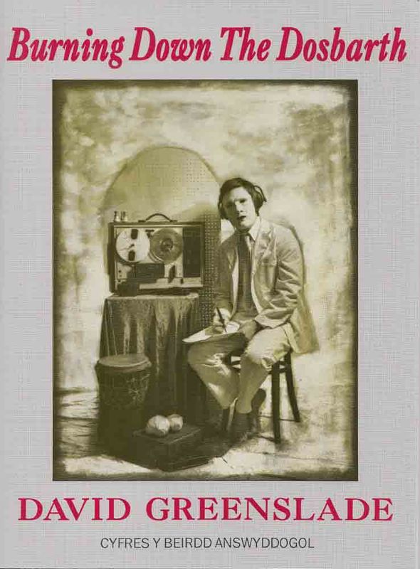 A picture of 'Burning Down the Dosbarth' 
                              by David Greenslade