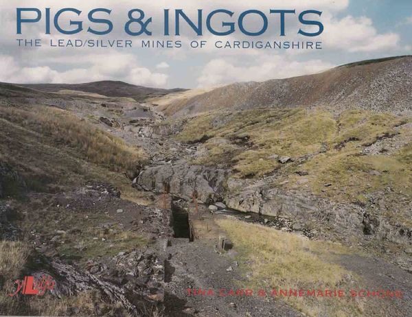 Llun o 'Pigs and Ingots' 
                              gan Tina Carr, Annemarie Schöne