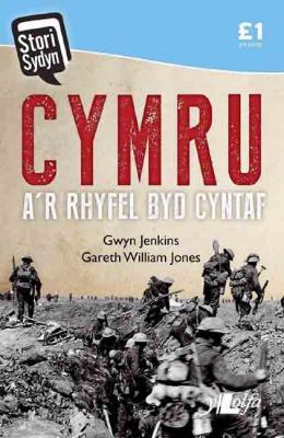 A picture of 'Cymru a'r Rhyfel Byd Cyntaf' 
                              by Gwyn Jenkins, Gareth William Jones