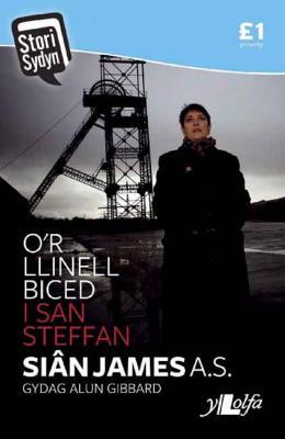 A picture of 'O'r Llinell Biced i San Steffan'
