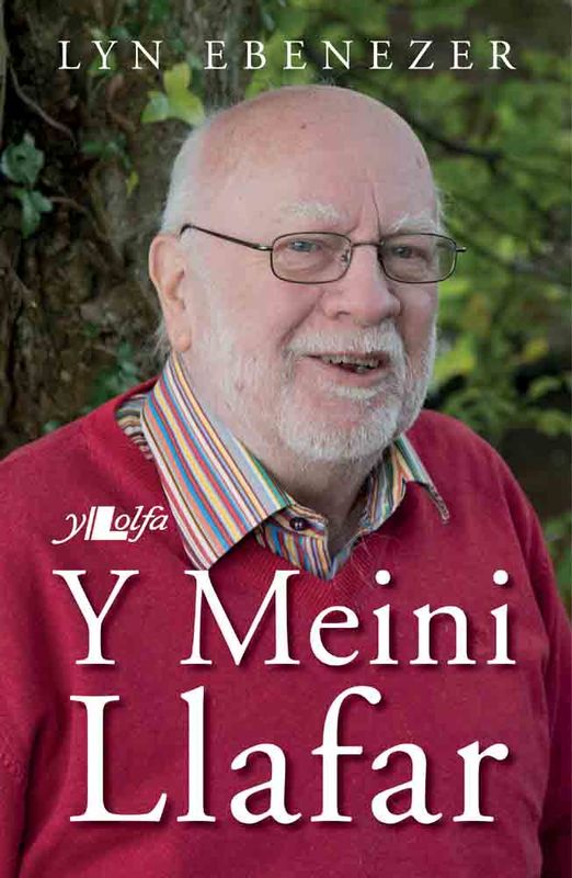 A picture of 'Y Meini Llafar'