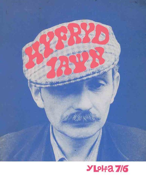 A picture of 'Hyfryd Iawn – Argraffiad Cyfyngedig' 
                              by Eirwyn Pontshan