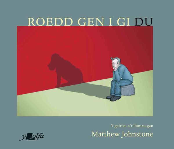 A picture of 'Roedd Gen i Gi Du' 
                              by Matthew Johnstone