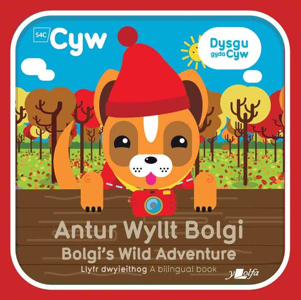 A picture of 'Antur Wyllt Bolgi / Bolgi's Wild Adventure' 
                              by Anni Llŷn