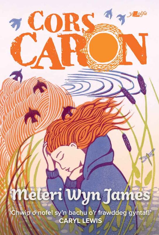Llun o 'Cors Caron' gan Meleri Wyn James