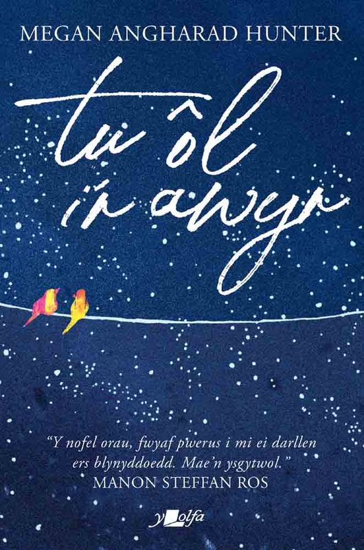 A picture of 'tu ôl i'r awyr' 
                              by Megan Angharad Hunter