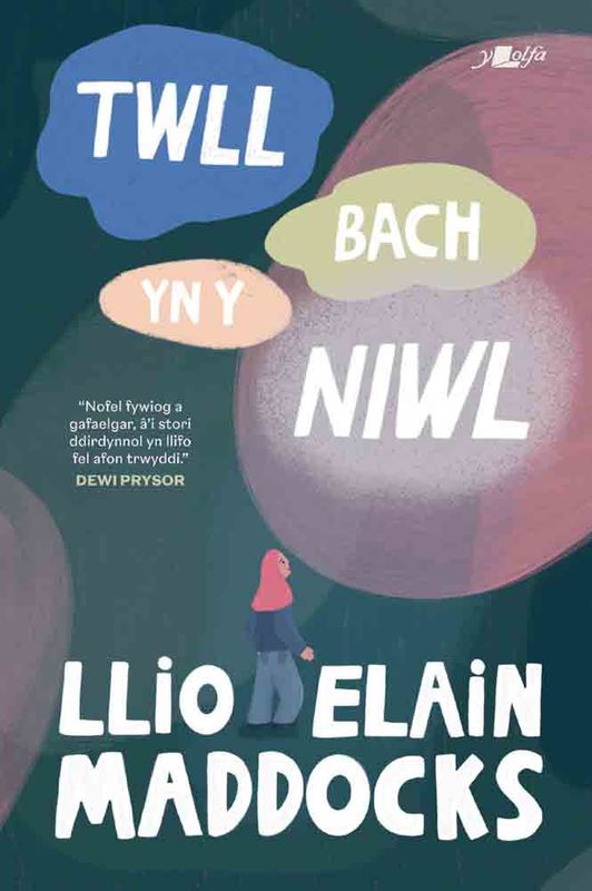 A picture of 'Twll Bach yn y Niwl' 
                              by Llio Elain Maddocks