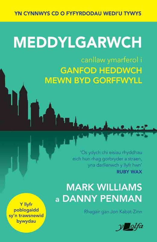 A picture of 'Meddylgarwch' 
                              by Mark Williams, Danny Penman
