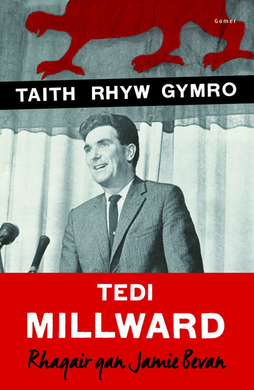 A picture of 'Taith Rhyw Gymro' 
                              by E. G. Millward