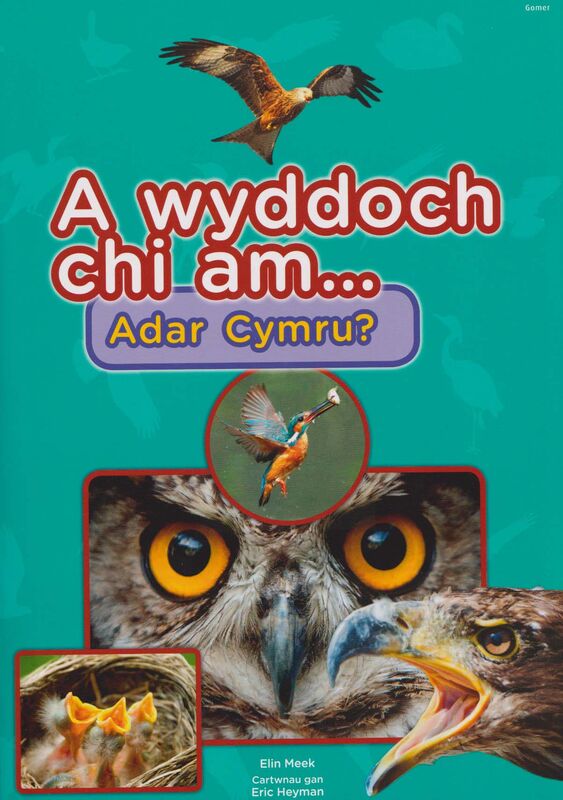 A picture of 'Cyfres a Wyddoch chi: A Wyddoch Chi am Adar Cymru?' 
                              by 