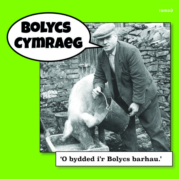 A picture of 'Bolycs Cymraeg' 
                              by Huw Marshall