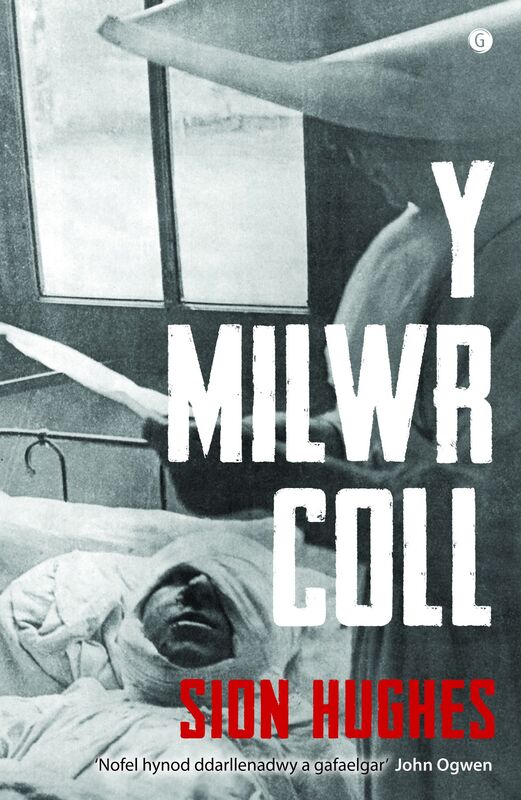 A picture of 'Y Milwr Coll' 
                              by Sion Hughes