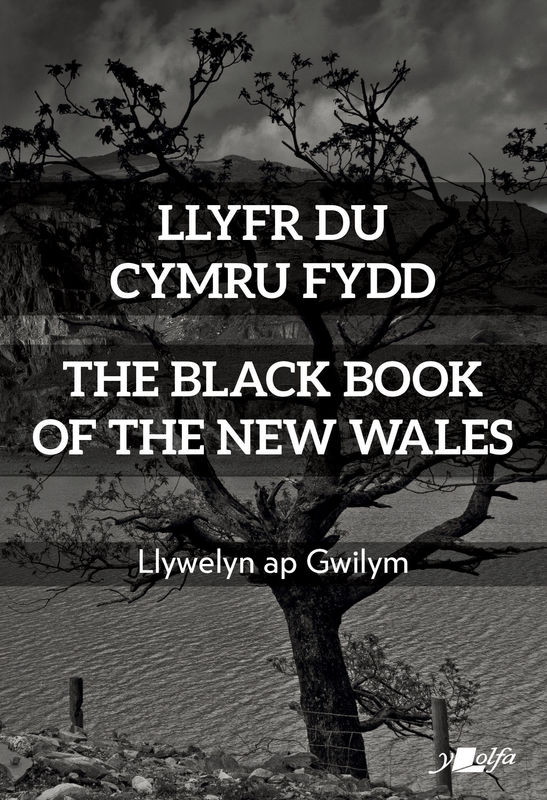 A picture of 'Llyfr Du Cymru Fydd / The Black Book of the New Wales' 
                              by Llywelyn ap Gwilym