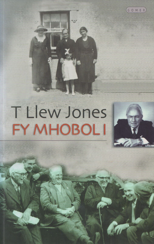 A picture of 'Fy Mhobol I' 
                              by T. Llew Jones