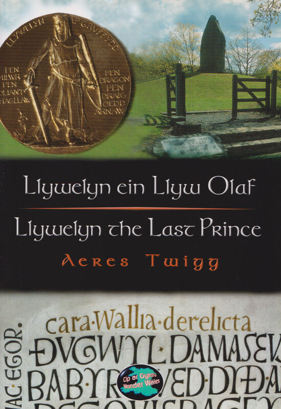 Llun o 'Cyfres Cip ar Gymru / Wonder Wales: Llywelyn ein Llyw Olaf' 
                              gan Aeres Twigg