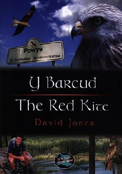 A picture of 'Cyfres Cip ar Gymru / Wonder Wales: Y Barcud / The Red Kite' 
                              by David Jones