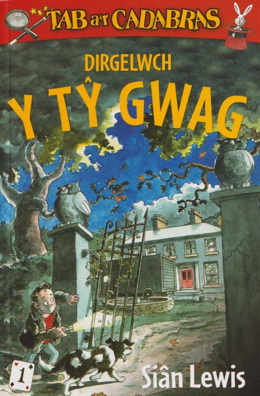 A picture of 'Cyfres Tab a'r Cadabras: 1. Dirgelwch y Tŷ Gwag' 
                              by Siân Lewis