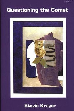 A picture of 'Questioning the Comet' 
                              by Stevie Krayer