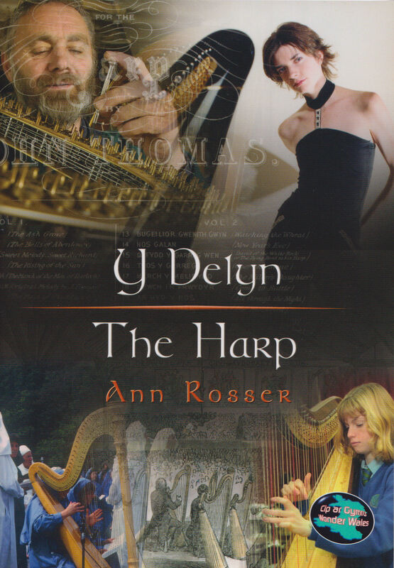 A picture of 'Cyfres Cip ar Gymru/Wonder Wales: Y Delyn / The Harp' 
                              by Ann Rosser