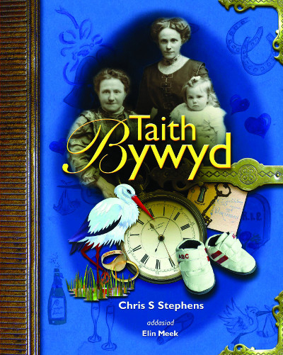 A picture of 'Taith Bywyd' 
                              by Chris S. Stephens