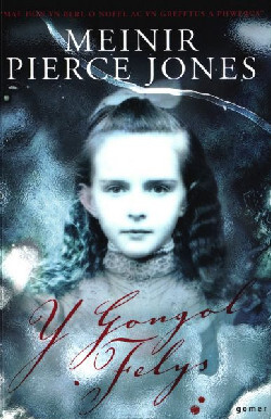 A picture of 'Y Gongol Felys' 
                              by Meinir Pierce Jones