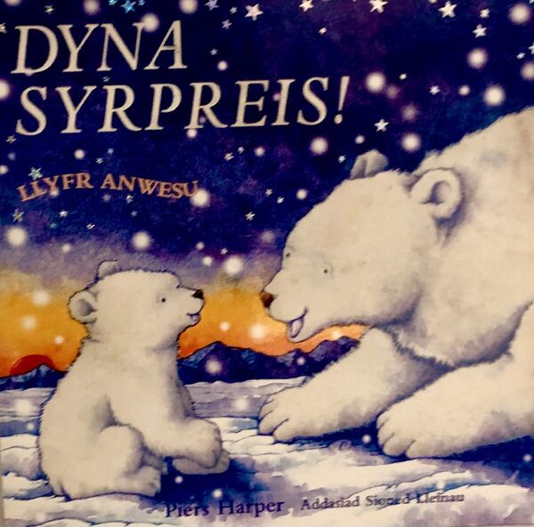 A picture of 'Dyna Syrpreis!' 
                              by Piers Harper