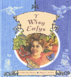 A picture of 'Y Wisg Enfys' 
                              by Catherine Fisher