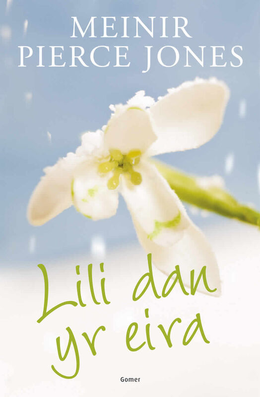 A picture of 'Lili dan yr Eira' 
                              by Meinir Pierce Jones
