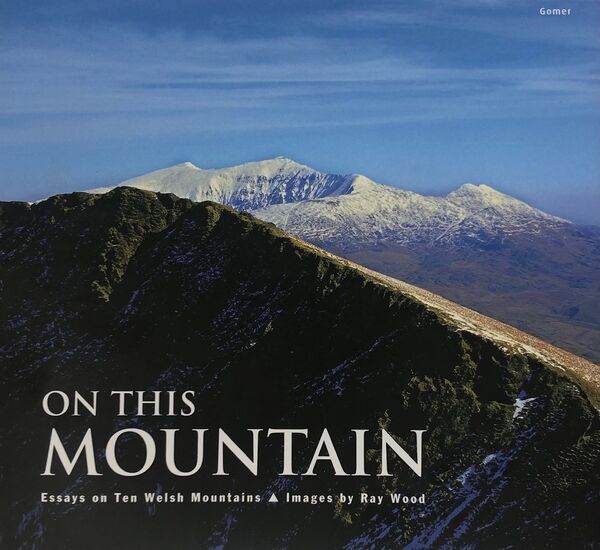 A picture of 'On This Mountain' 
                              by Amrywiol/Various