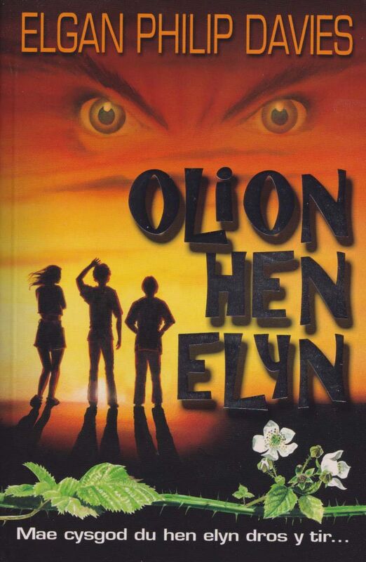 A picture of 'Dilyniant y Tir Tywyll: Olion Hen Elyn' 
                              by Elgan Philip Davies