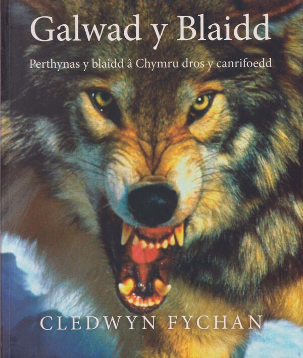 A picture of 'Galwad y Blaidd' 
                              by Cledwyn Fychan