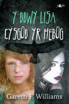 A picture of 'Y Ddwy Lisa: Cysgod yr Hebog' 
                              by Gareth F. Williams
