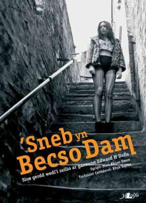 A picture of ''Sneb yn Becso Dam' 
                              by Mari Rhian Owen