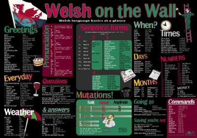 A picture of 'Welsh on the Wall Poster' 
                              by Y Lolfa