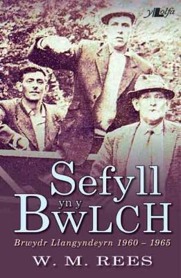 A picture of 'Sefyll yn y Bwlch - Brwydr Llangyndeyrn 1960-1965' 
                              by W. M. Rees
