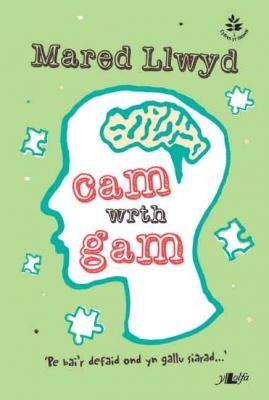 A picture of 'Cam Wrth Gam' 
                              by Mared Llwyd