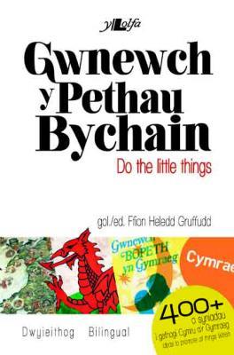 A picture of 'Gwnewch y Pethau Bychain / Do the little things' 
                              by Ffion Heledd Gruffudd